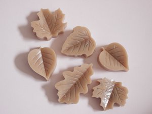 Autumn Wax Melts