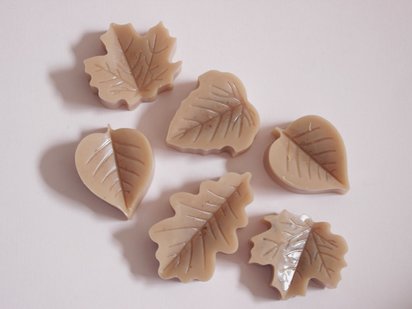 Autumn Wax Melts